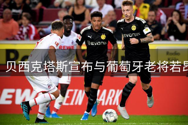 贝西克塔斯宣布与葡萄牙老将若昂·马里奥解约